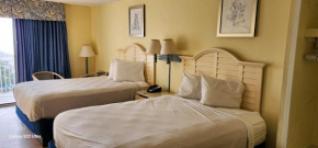 Oceanview Efficiency DW1210